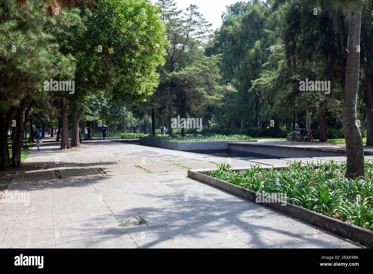 Chapultepec Park Avenue Walkway - città del Messico, Messico Foto Stock