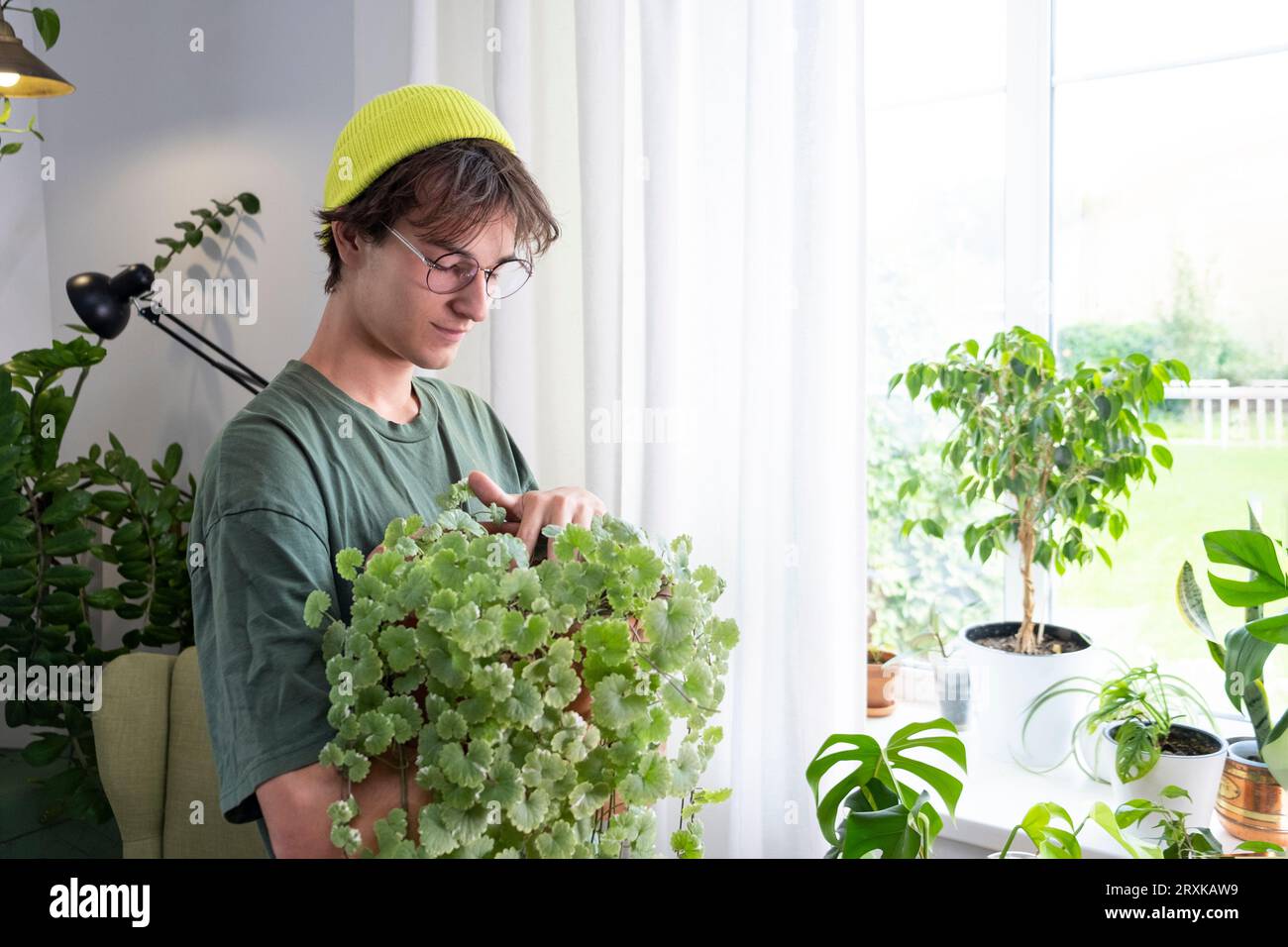 Un giovane bell'uomo dai capelli lunghi scuri, che indossa una maglietta verde, tiene in mano una pianta domestica. Impianto di arrampicata Ampel. clay pot. Monstera Foto Stock