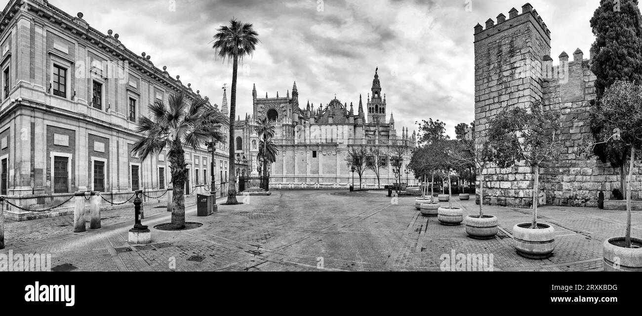 Alberi in vaso all'esterno dell'Alcazar reale di Siviglia, Siviglia, Andalusia, Spagna Foto Stock