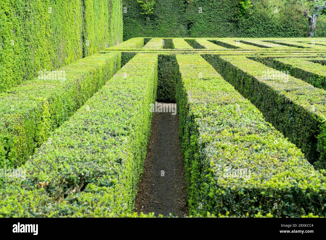 Valsanzibio, Italia - 15 aprile 2023: Labirinto all'interno del giardino monumentale di Valsanzibio, uno dei giardini più belli d'Italia durante una giornata di sole Foto Stock