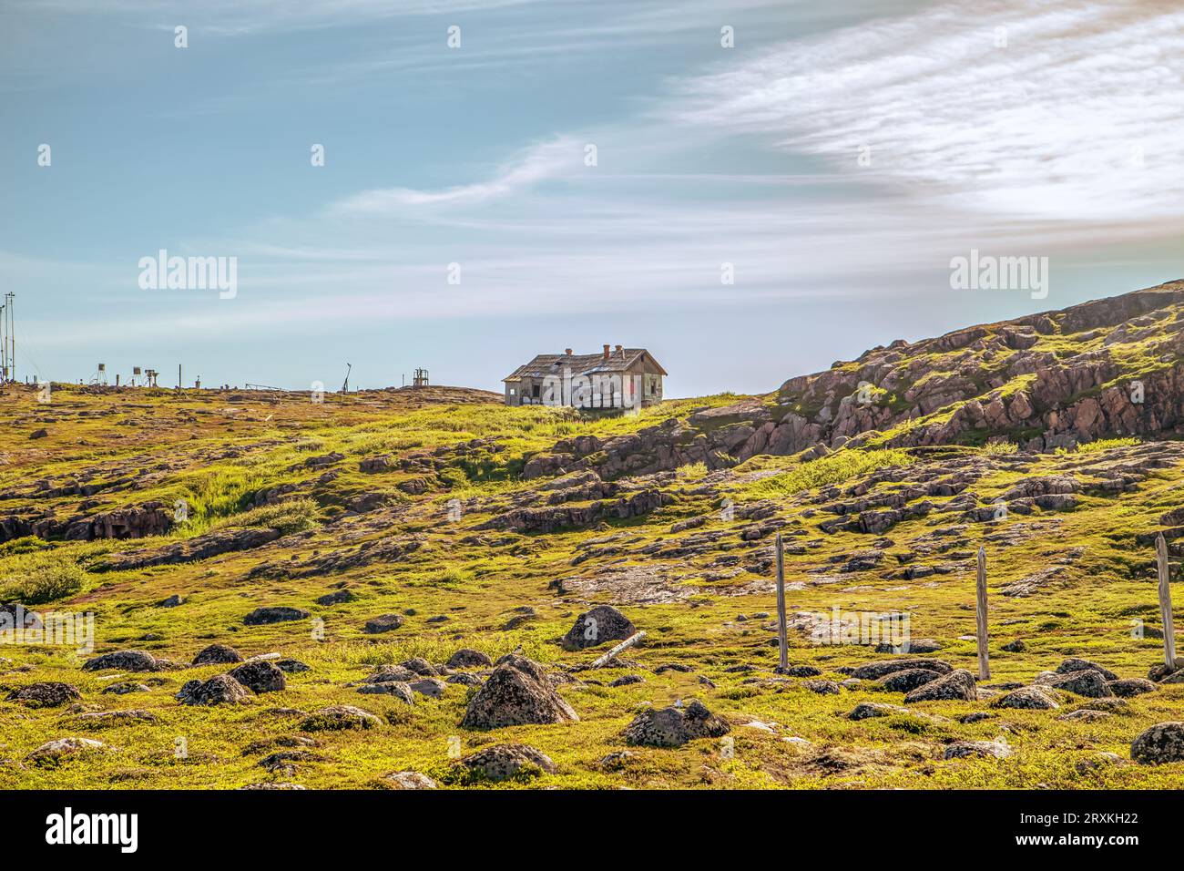 Natura pittoresca del nord. Tundra in estate. Quartiere del villaggio di Teriberka. Foto Stock