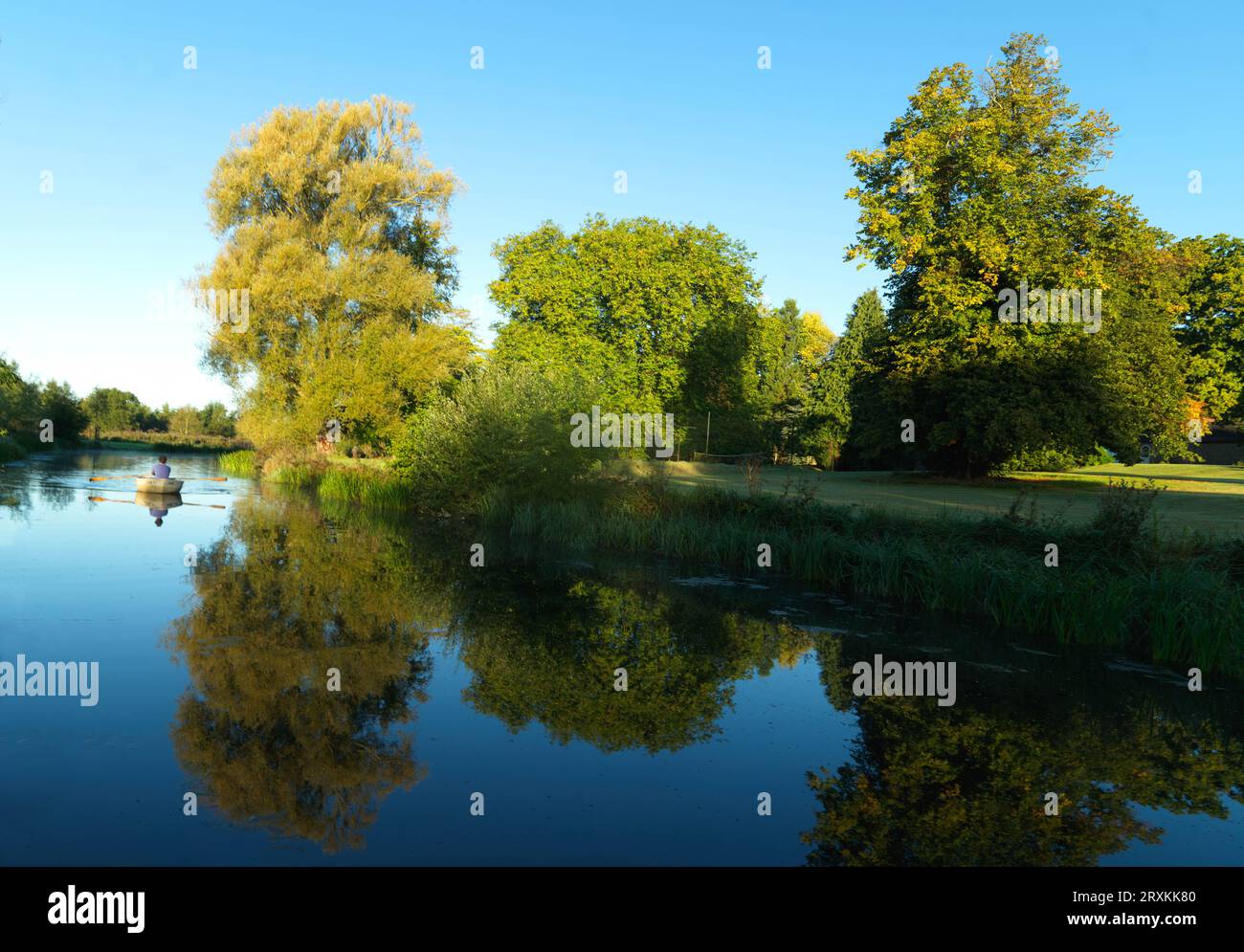 Lago tranquillo con lussureggianti alberi verdi e cielo azzurro Foto Stock