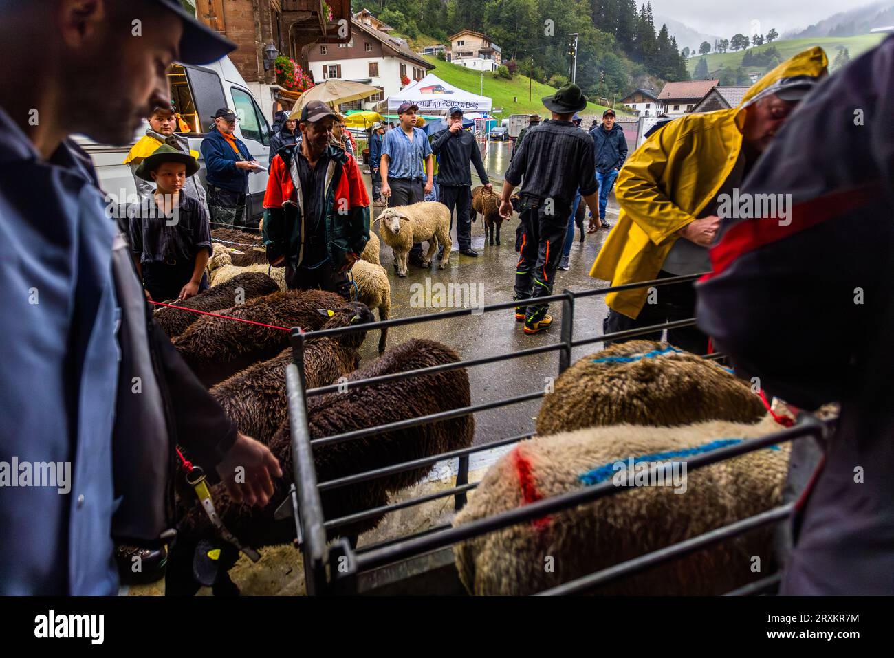 Schafscheid è la celebrazione dopo la partenza delle pecore dal soggiorno estivo sul pascolo di montagna. Si celebra ogni anno il lunedì di settembre a Jaun, in Svizzera Foto Stock
