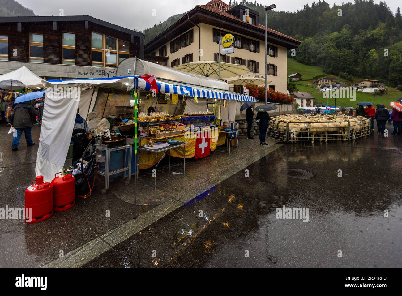 Schafscheid è la celebrazione dopo la partenza delle pecore dal soggiorno estivo sul pascolo di montagna. Si celebra ogni anno il lunedì di settembre a Jaun, in Svizzera Foto Stock