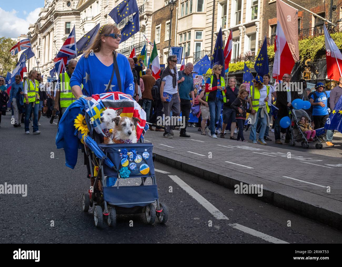 Un manifestante anti-Brexit spinge un passeggino con due cani da compagnia all'EU National Rejoin March nel centro di Londra, Regno Unito, il 23 settembre 2023. Migliaia di pe Foto Stock