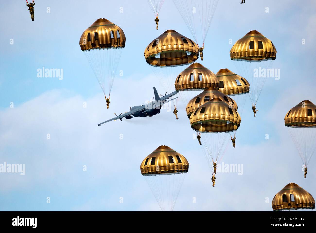 Paracadutisti che saltano da un aereo da trasporto militare C-130 Hercules durante l'esercitazione Falcon Leap. EDE, Paesi Bassi - 16 settembre 2023 Foto Stock