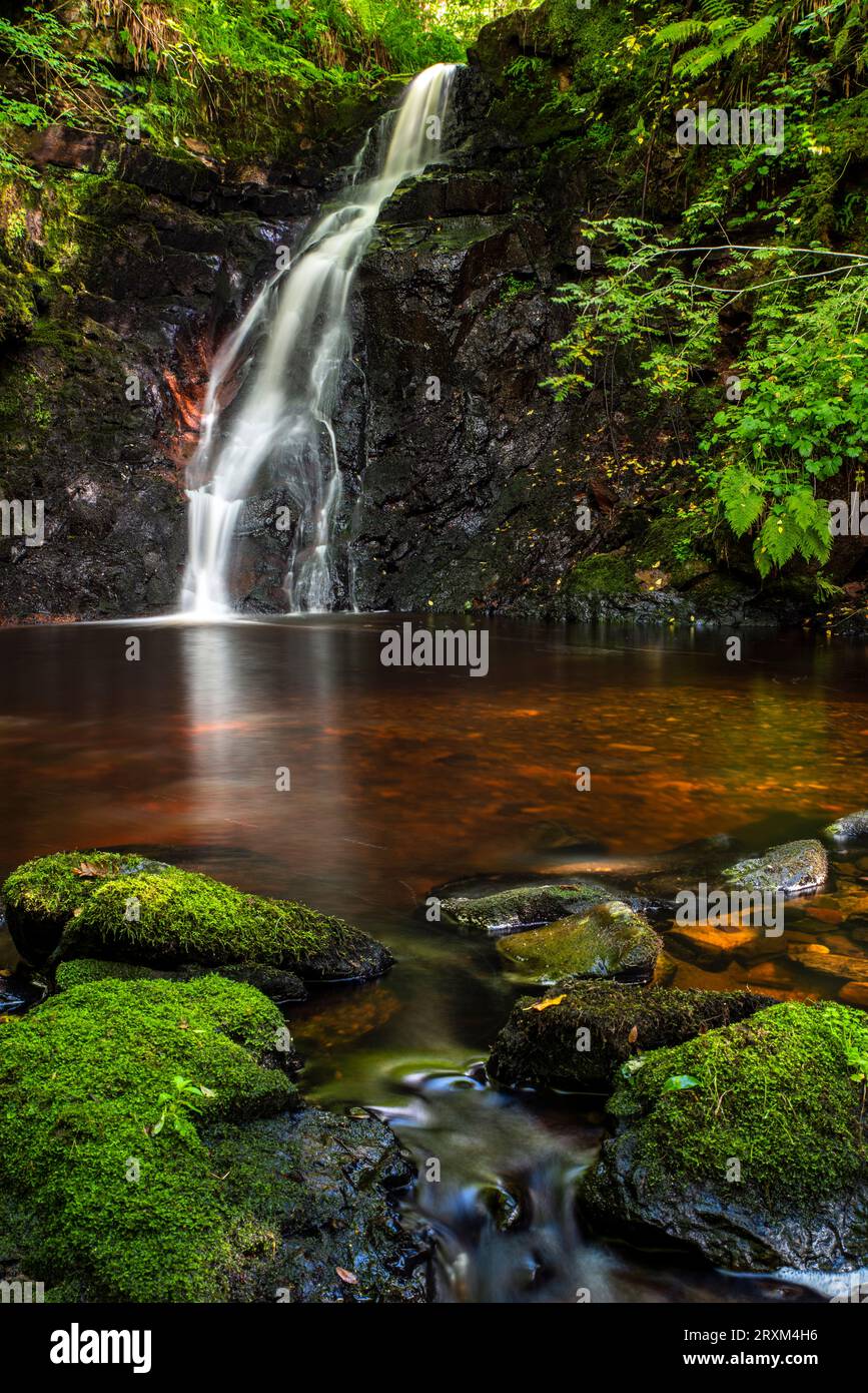 Una splendida cascata sul Burn Anne Water vicino a Galston, nell'Ayrshire orientale, in Scozia. Foto Stock