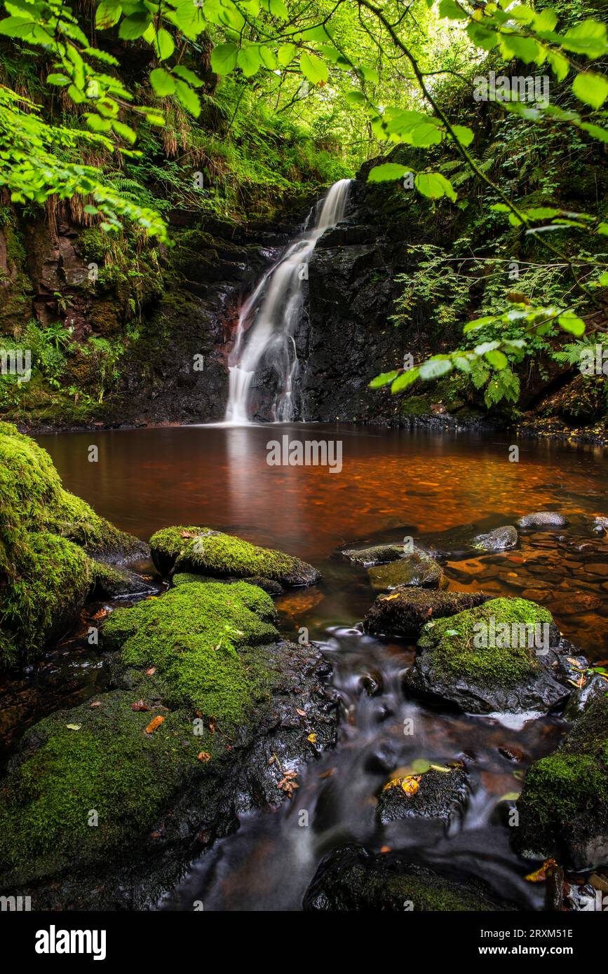 Una splendida cascata sul Burn Anne Water vicino a Galston, nell'Ayrshire orientale, in Scozia. Foto Stock