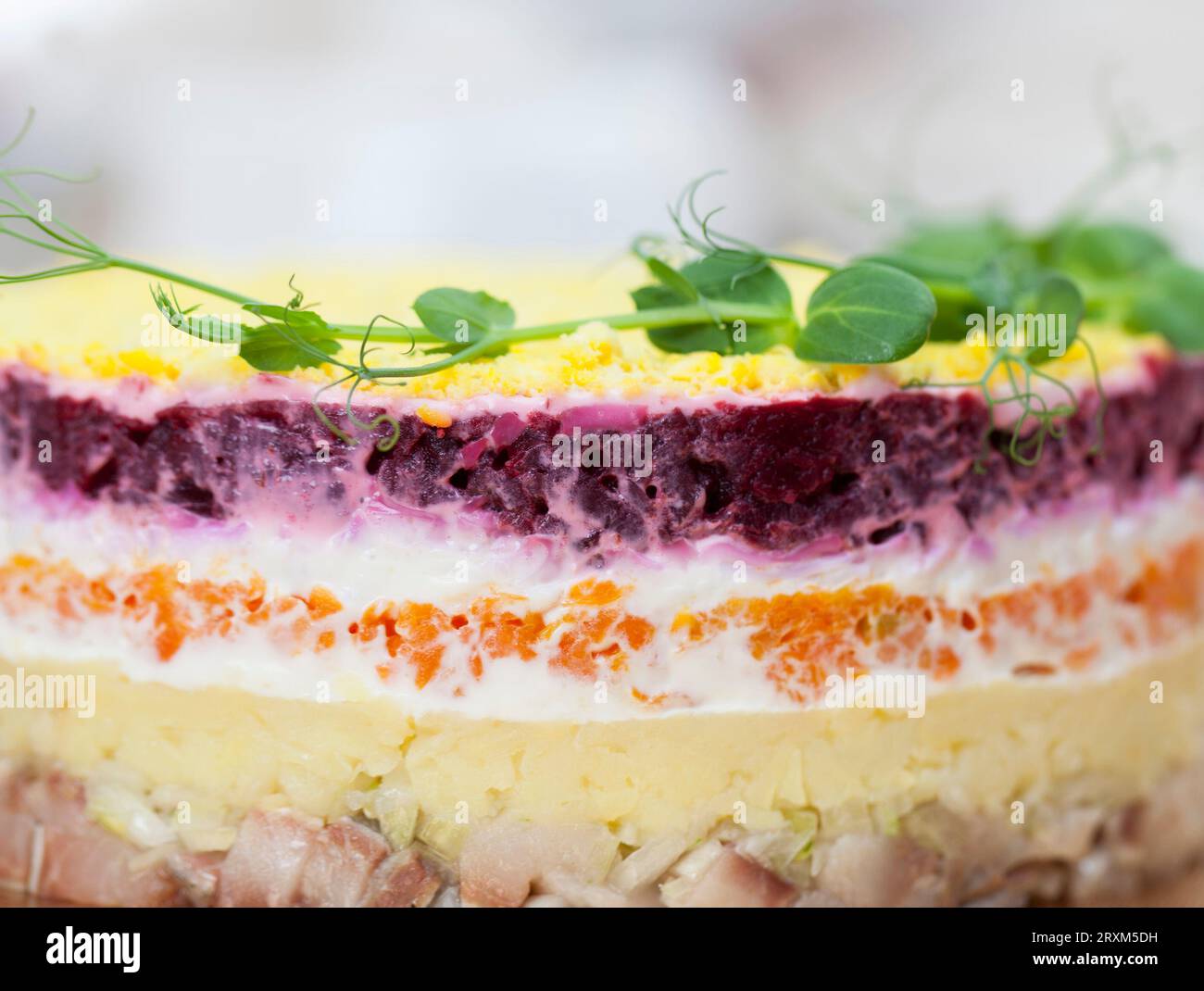 insalata tradizionale con aringhe, maionese, uova, barbabietole bollite e carote, insalata tradizionale con aringhe salate decorata per le vacanze Foto Stock