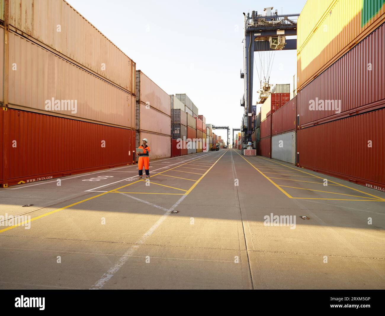 Lavoratore Dock esaminando i container nel porto di Felixstowe, Inghilterra Foto Stock