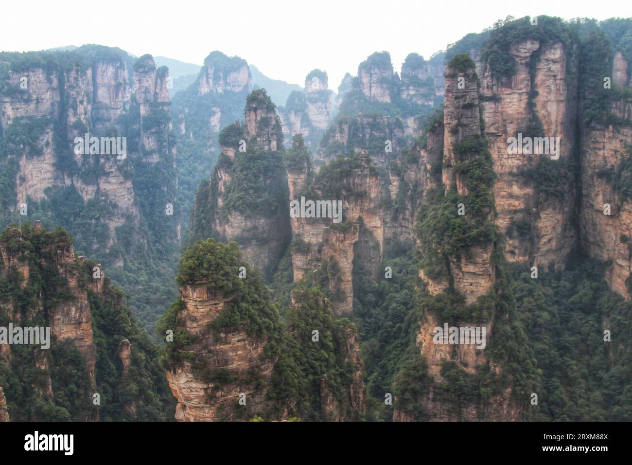 Scopri la serenità con i tappeti verdi in erba, le maestose e lunghe montagne sotto la distesa del cielo blu mozzafiato della Cina. Foto Stock