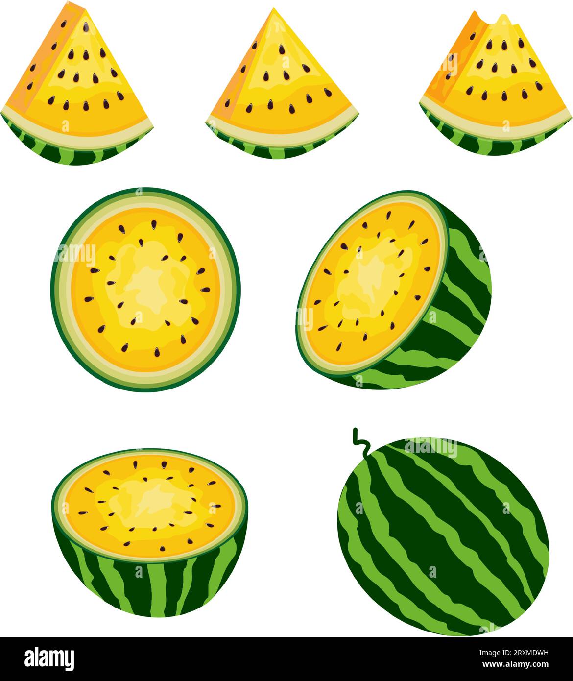 Anguria intera fresca e succosa e fette. Set di bacche di anguria gialle mature. Illustrazione vettoriale. Illustrazione Vettoriale