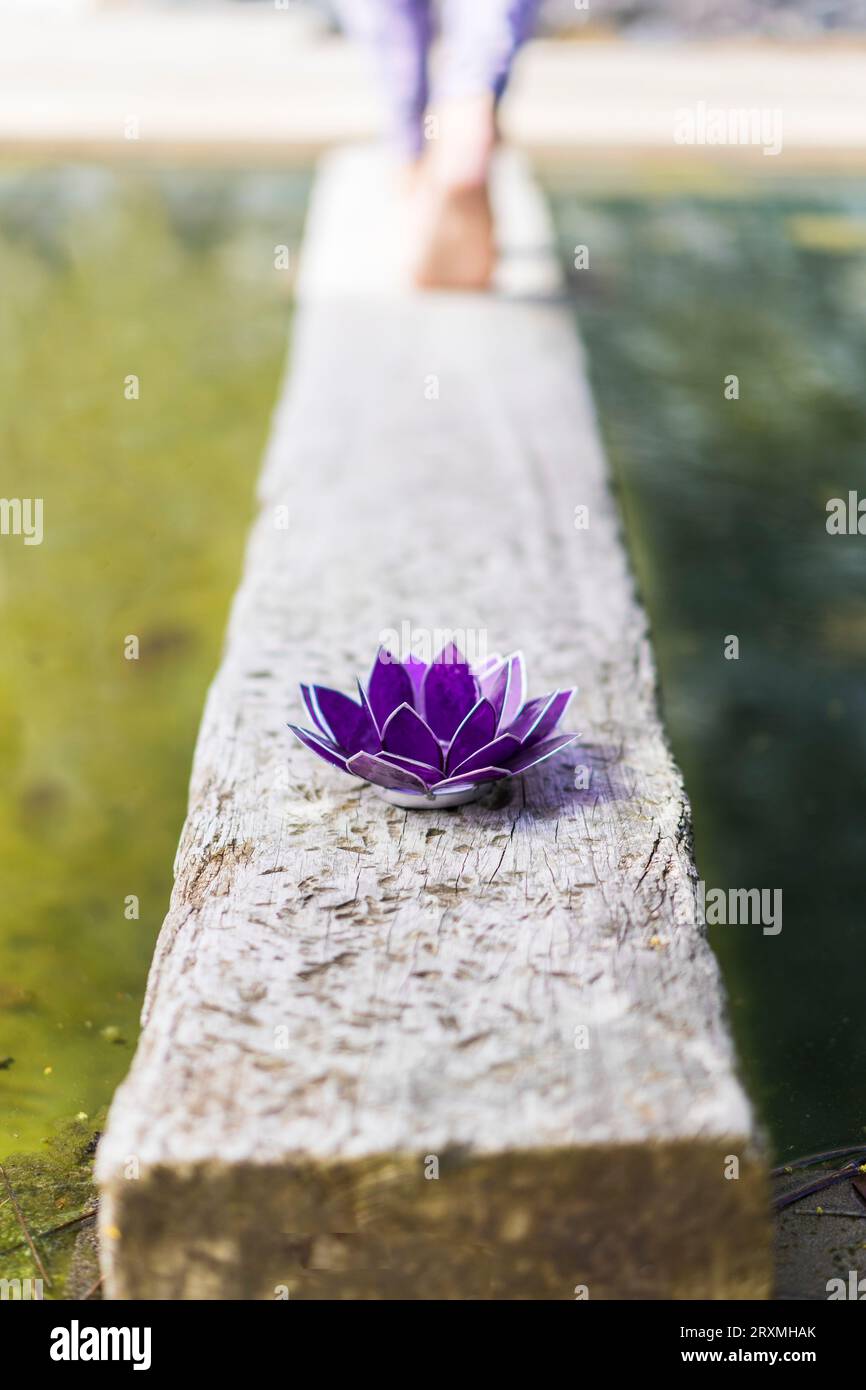 Immagine estetica di un loto di vetro viola mentre una donna se ne va. Copia spazio Foto Stock