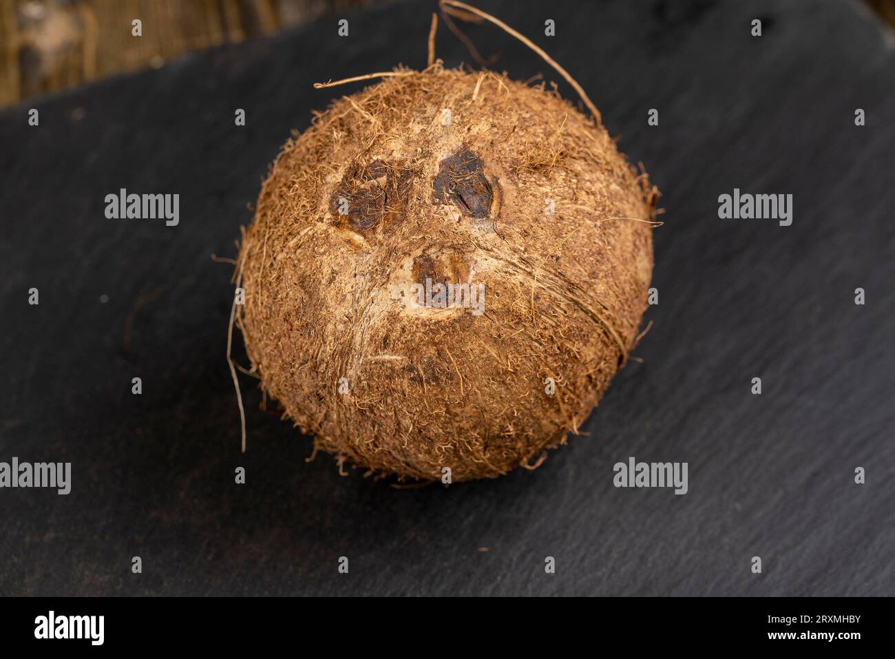 primo piano di una conchiglia di cocco marrone, primo piano di una conchiglia di cocco matura e sporca non sbucciata prima della lavorazione e della cottura Foto Stock