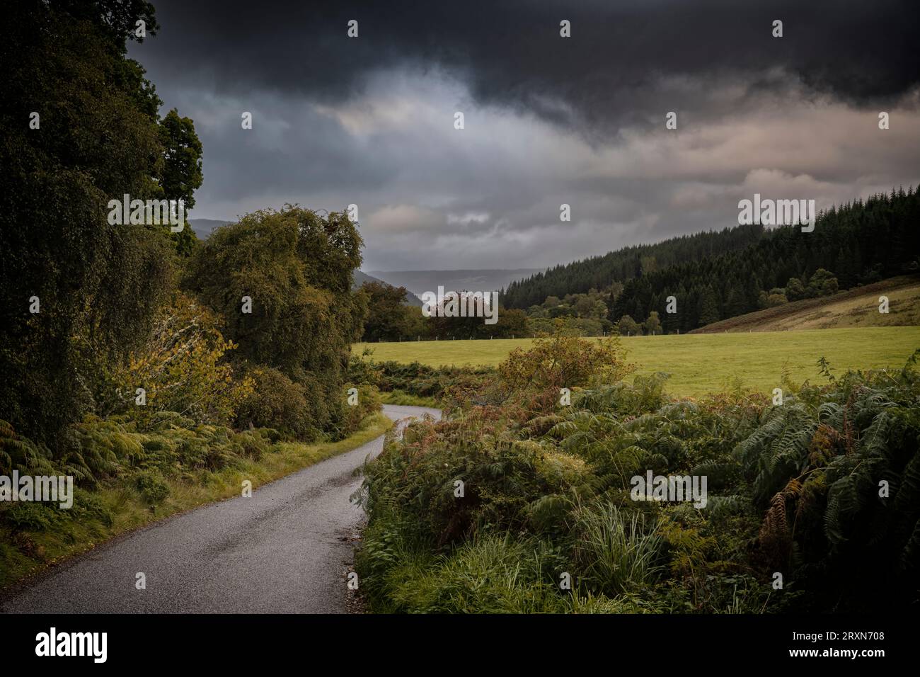 Il cambio di stagione inizia a farsi sentire di più ogni giorno, oggi è stato fresco e umido e le foglie iniziano a cambiare lentamente. Questo Foto Stock