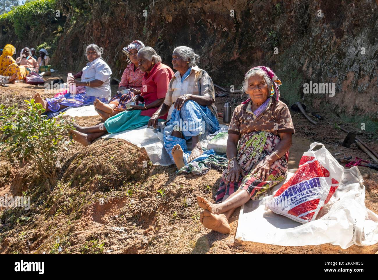 Raccoglitori di tè a Break, Munnar, Kerala, India Foto Stock