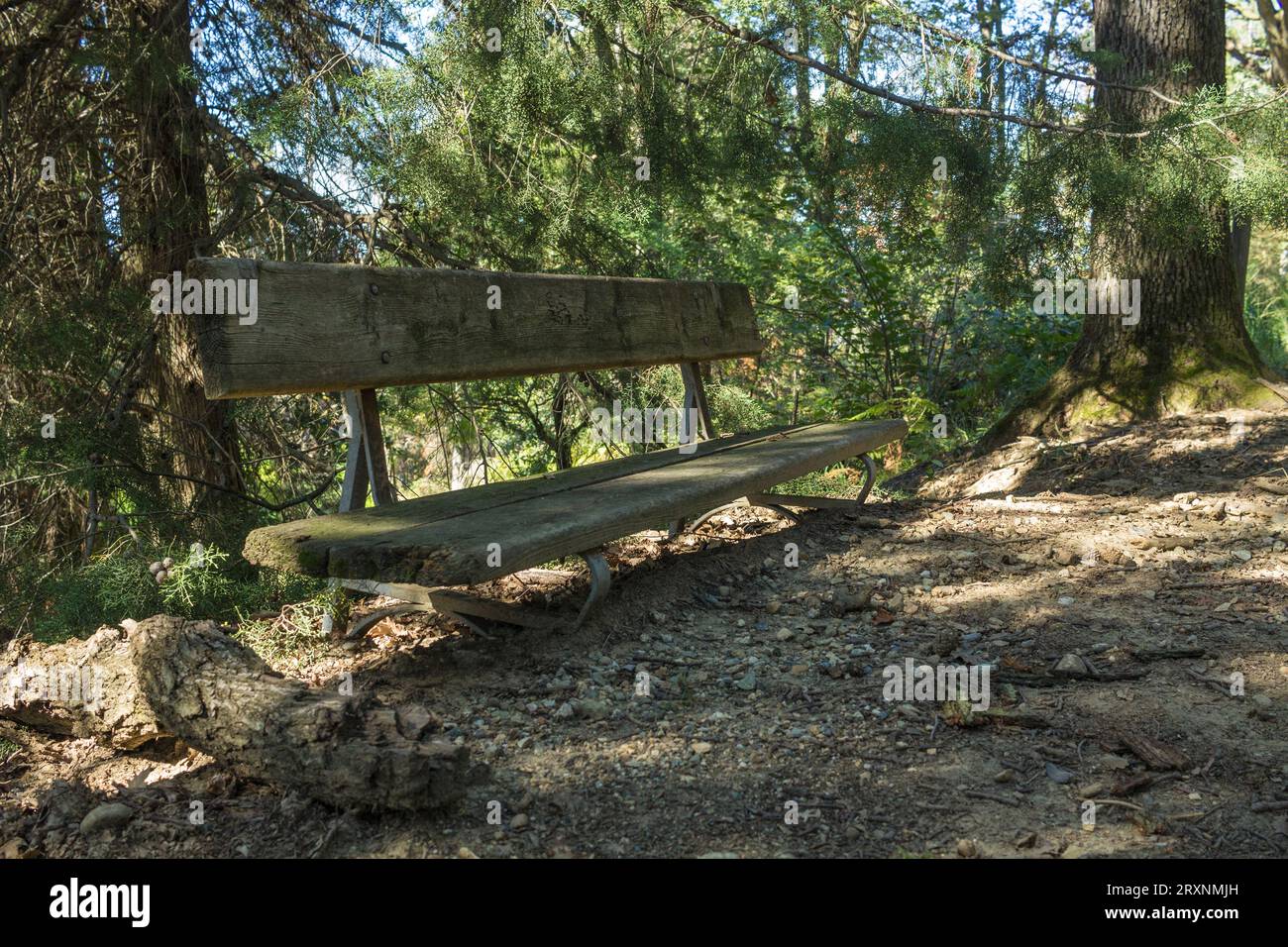 Banco molto basso al parco. Parco della Rimembranza, Torino, Italia Foto Stock