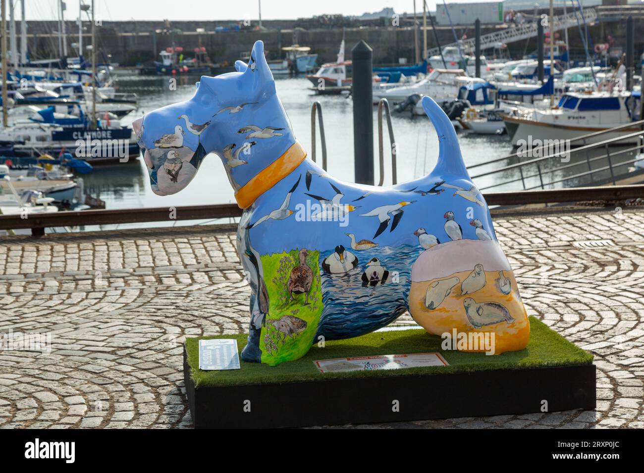 Fauna selvatica costiera di Fife Scottie Dog di Yolande Kenny ad Anstruther, Fife Scozia Foto Stock