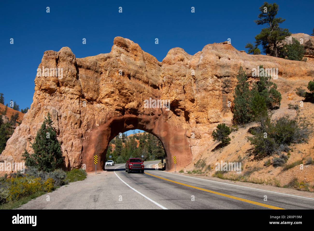La strada panoramica 12 passa attraverso un tunnel nel Red Canyon sulla strada per il Bryce Canyon National Park, Utah Foto Stock