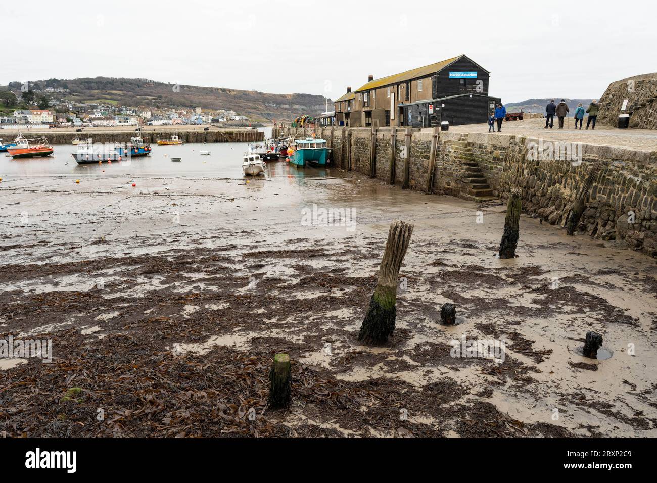 Porto storico con bassa marea con barche da pesca e molo in pietra nella città costiera del Devon Foto Stock