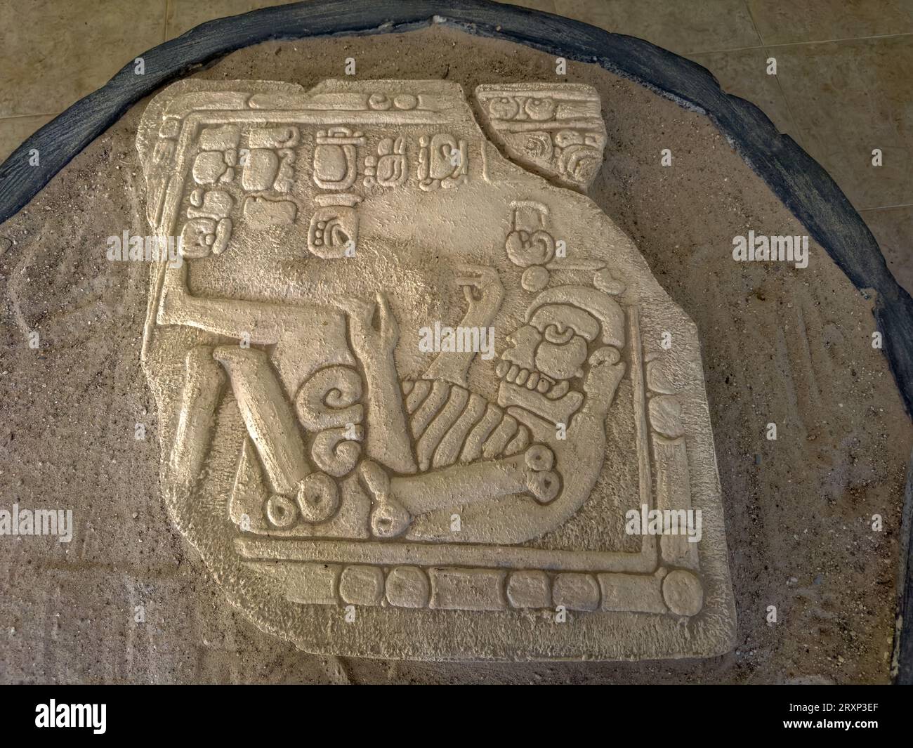 Replica del museo dell'altare 1 nella riserva archeologica di Xunantunich in Belize. L'originale si trova al British Museum. Foto Stock