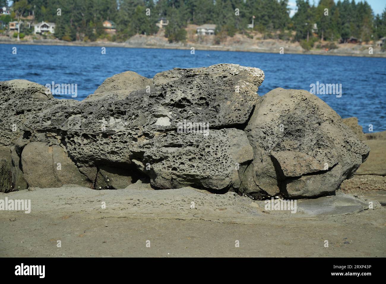 Roccia vulcanica sulla spiaggia Foto Stock