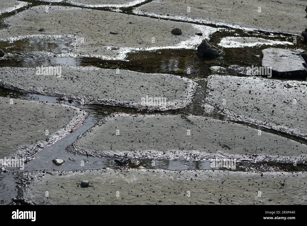 Griglia sulla spiaggia vulcanica Foto Stock