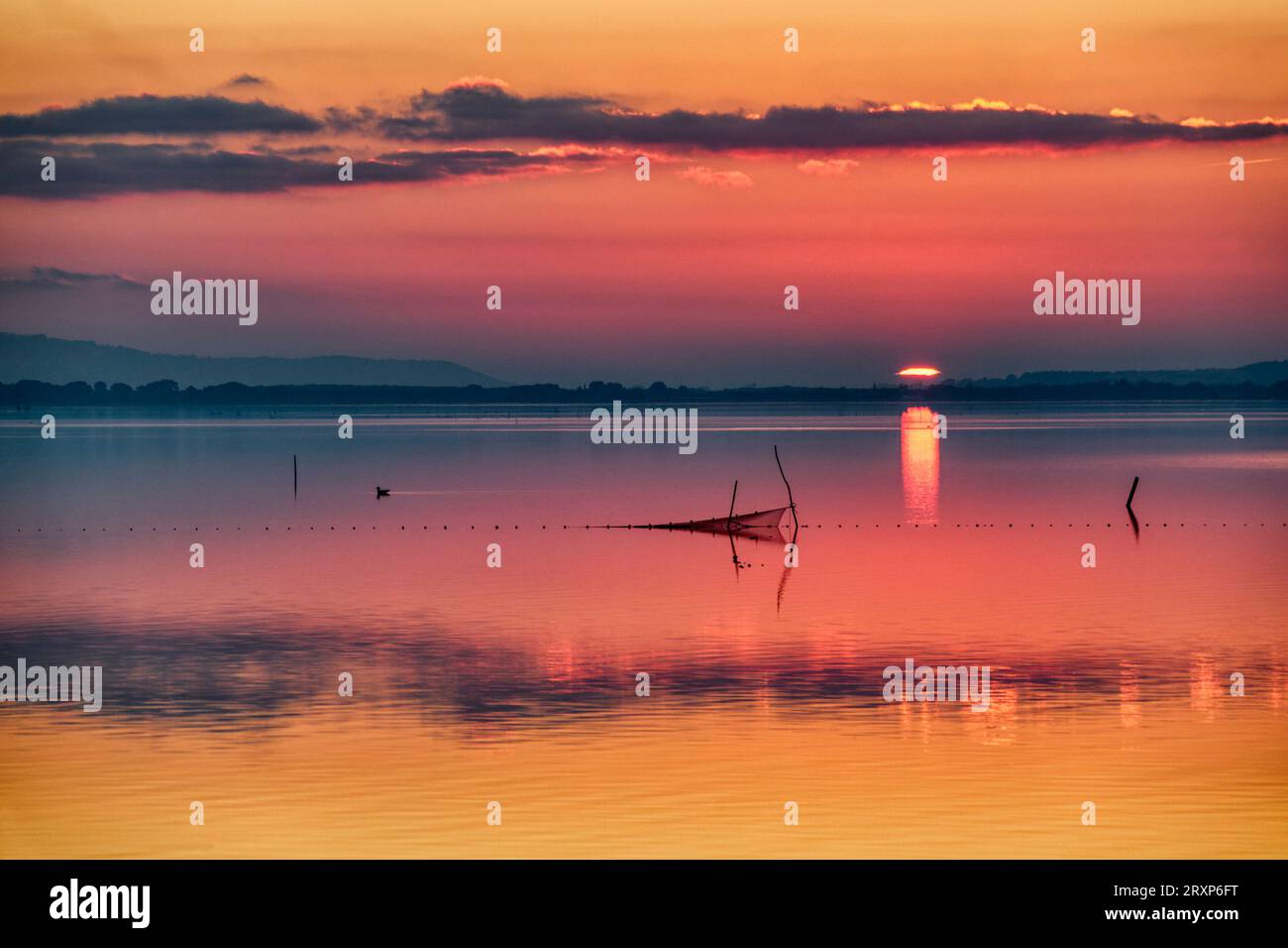 Reti da pesca nello stagno di Etang de lArnel al tramonto, Herault, Francia Foto Stock