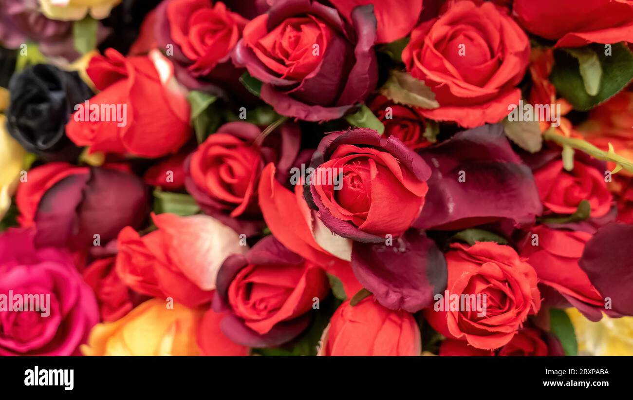 Molti fiori finti rose rosse artificiali piante finte fatte di tessuto al  negozio, realtà finta e natura concetto astratto semplice, dof poco  profondo, dicembre Foto stock - Alamy