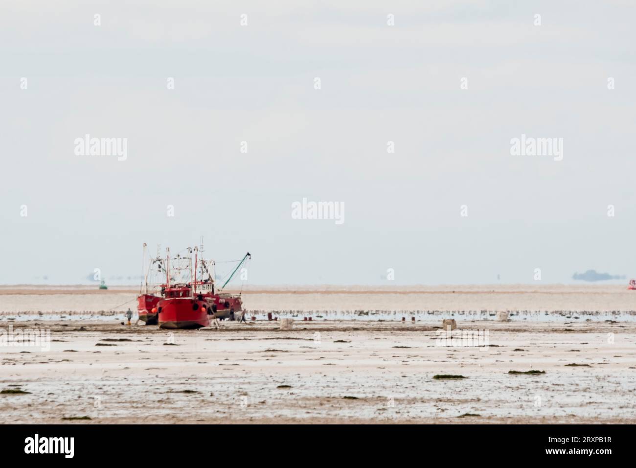 Le barche dei molluschi hanno spiaggiato il Wash per raccogliere i galletti durante la bassa marea. Le barche partono alla prossima alta marea. Foto Stock