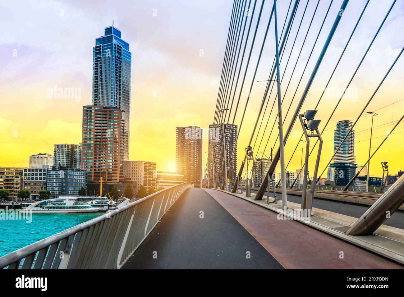 Città di Rotterdam al tramonto. Foto Stock