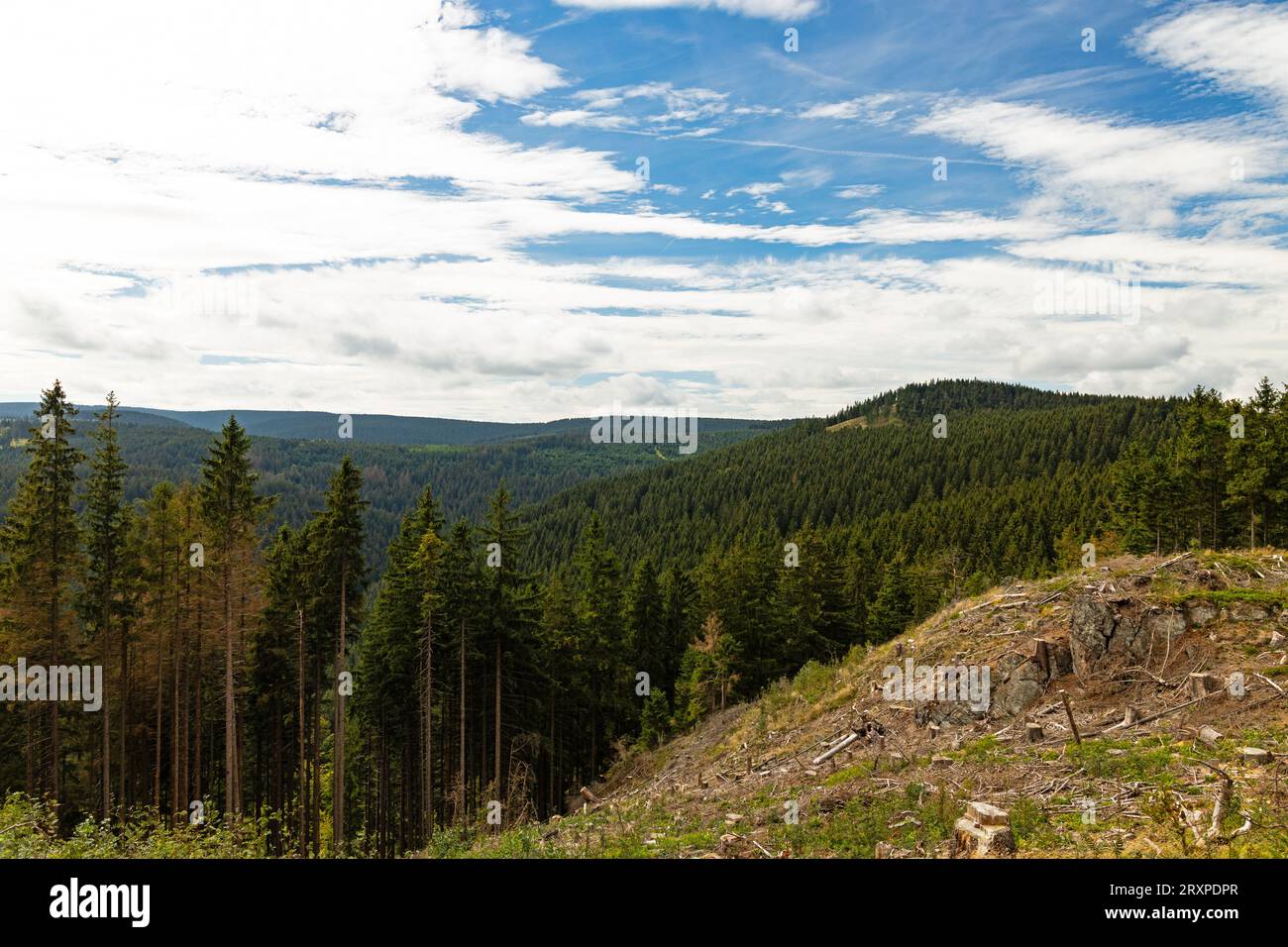 Vista panoramica sulla foresta della turingia nei pressi di Ilmenau Foto Stock