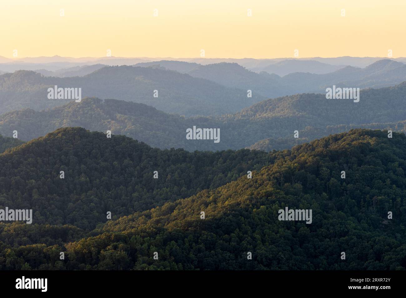 Nebbia mattutina all'alba sopra le creste di montagna. Foto Stock