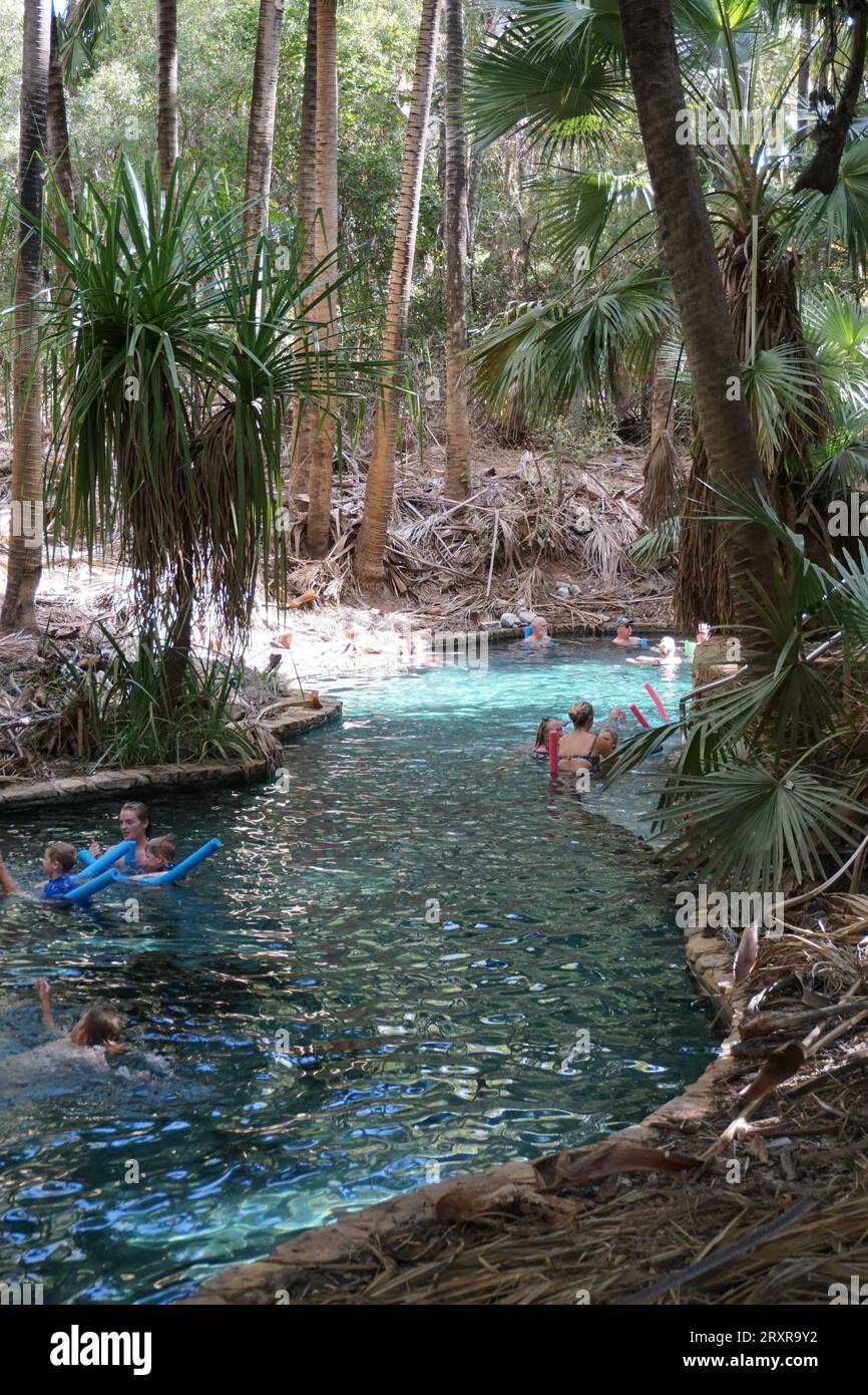 Persone che galleggiano in acqua con spaghetti da piscina presso la piscina termale Mataranka e Rainbow Springs, territorio settentrionale, australia Foto Stock