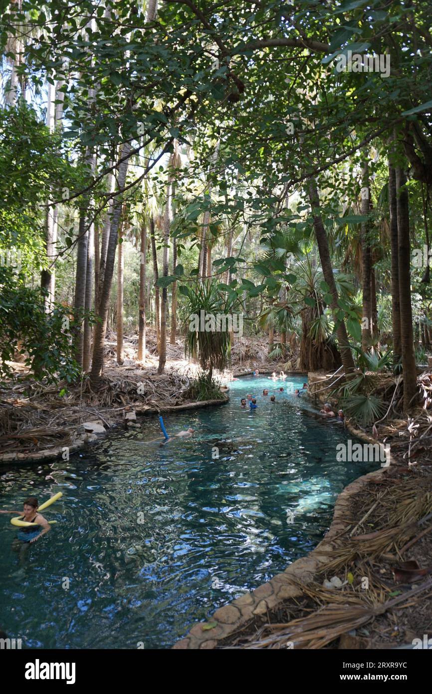 Persone che galleggiano in acqua con spaghetti da piscina presso la piscina termale Mataranka e Rainbow Springs, territorio settentrionale, australia Foto Stock