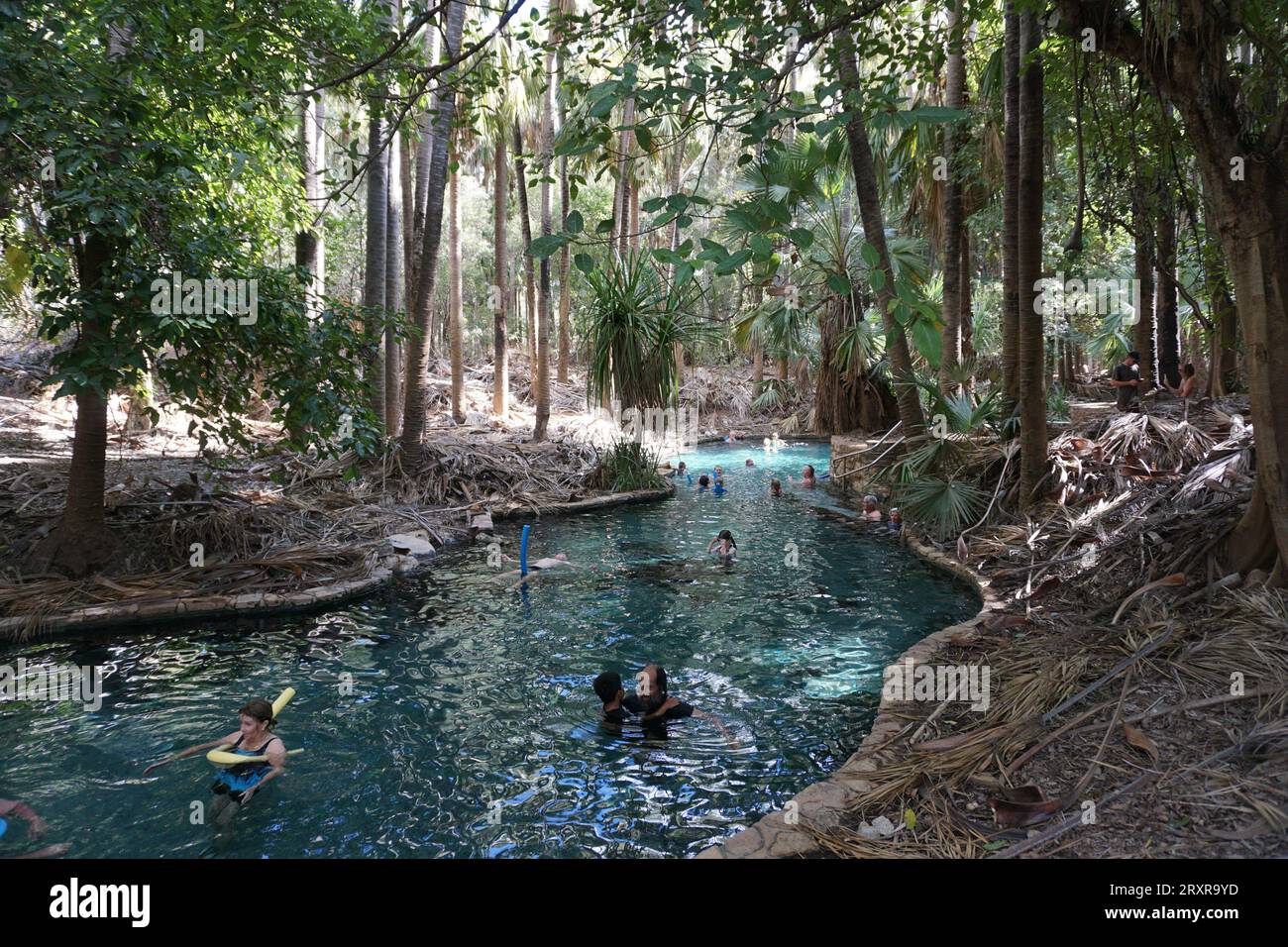 Persone che galleggiano in acqua con spaghetti da piscina presso la piscina termale Mataranka e Rainbow Springs, territorio settentrionale, australia Foto Stock