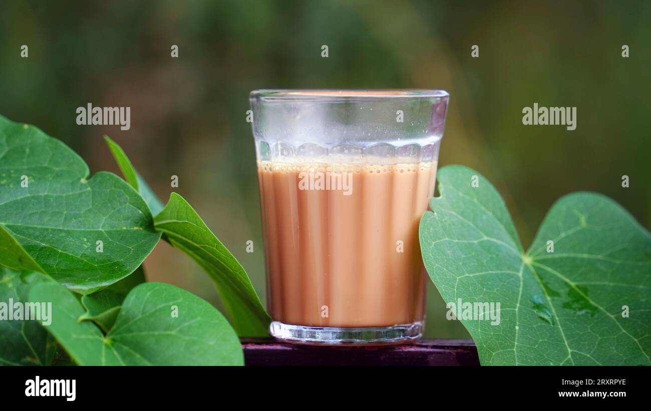 Tè di masala indiano o chai in vetro tradizionale, sfondo di legno. caffè, retrò, ristorante, hotel. Il chai di taglio di prima mattina Foto Stock