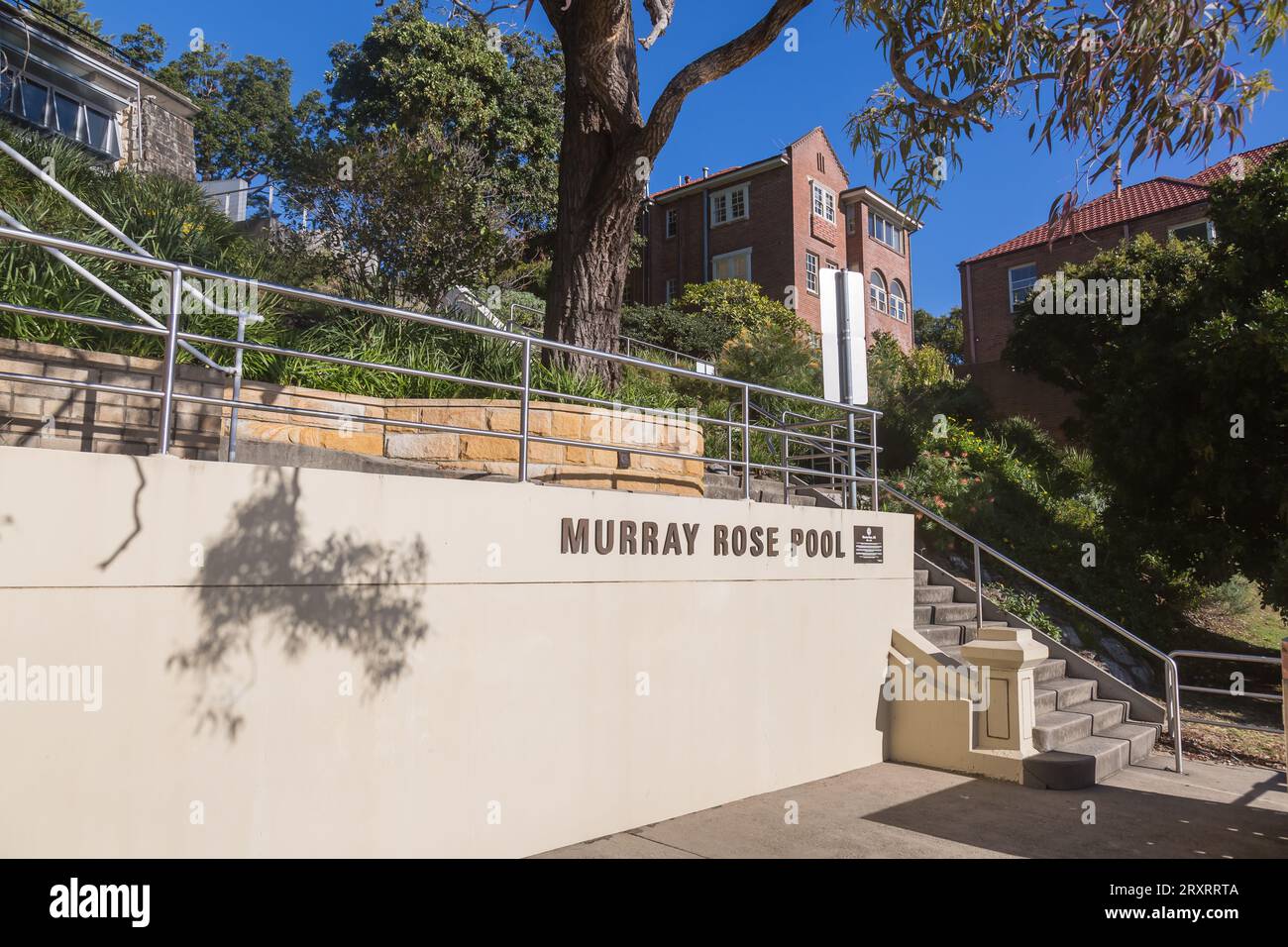 Appartamenti e case con vista sulla piscina Redleaf, conosciuta anche come Murray Rose Pool, Double Bay, Sydney, Australia. Foto Stock