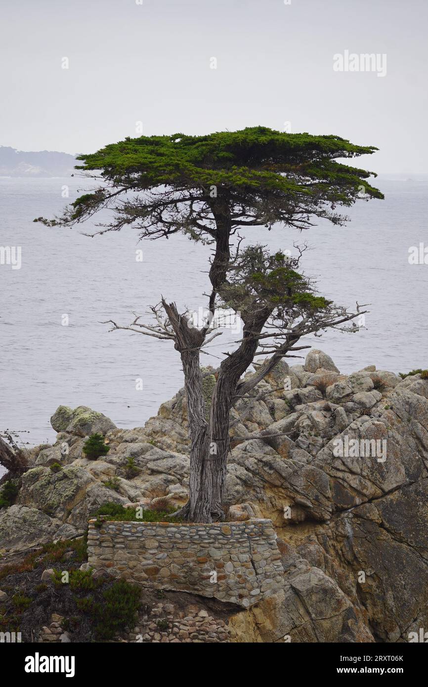 Pacific Coast Highway Foto Stock