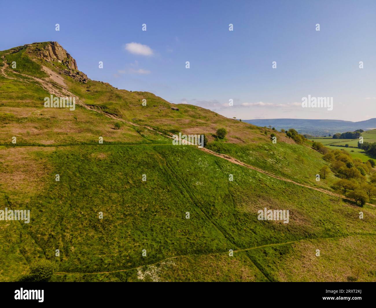 condimento con bacche di rosa dall'alto, pinchingthorpe, guisbrough, north yorkshire, regno unito Foto Stock