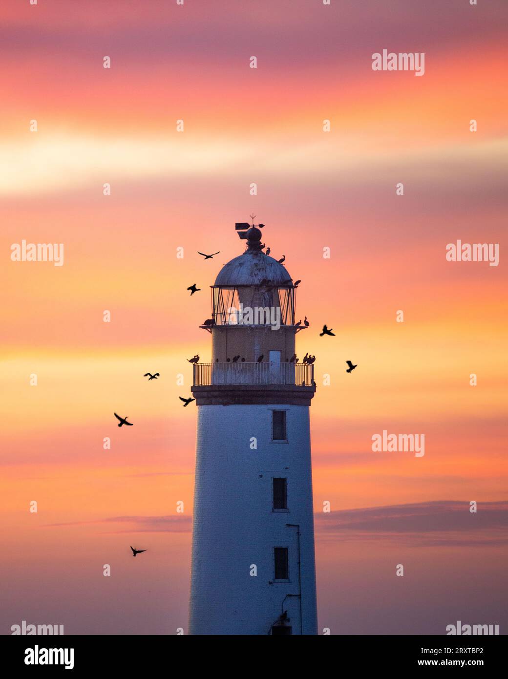 Faro tramonto Foto Stock