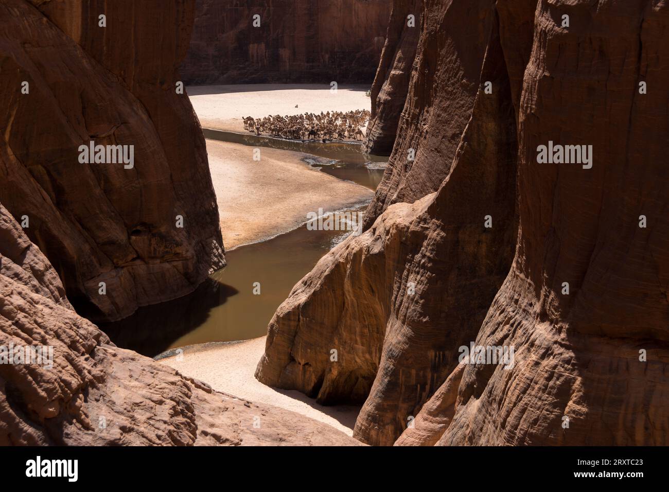 Il meraviglioso deserto di Ennedi, Ciad, Africa Foto Stock