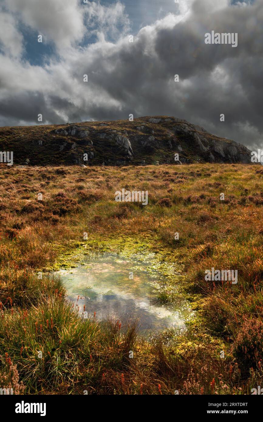 The Deep Nick di Dromore, sulle Clints di Dromore, Galloway, Scozia Foto Stock