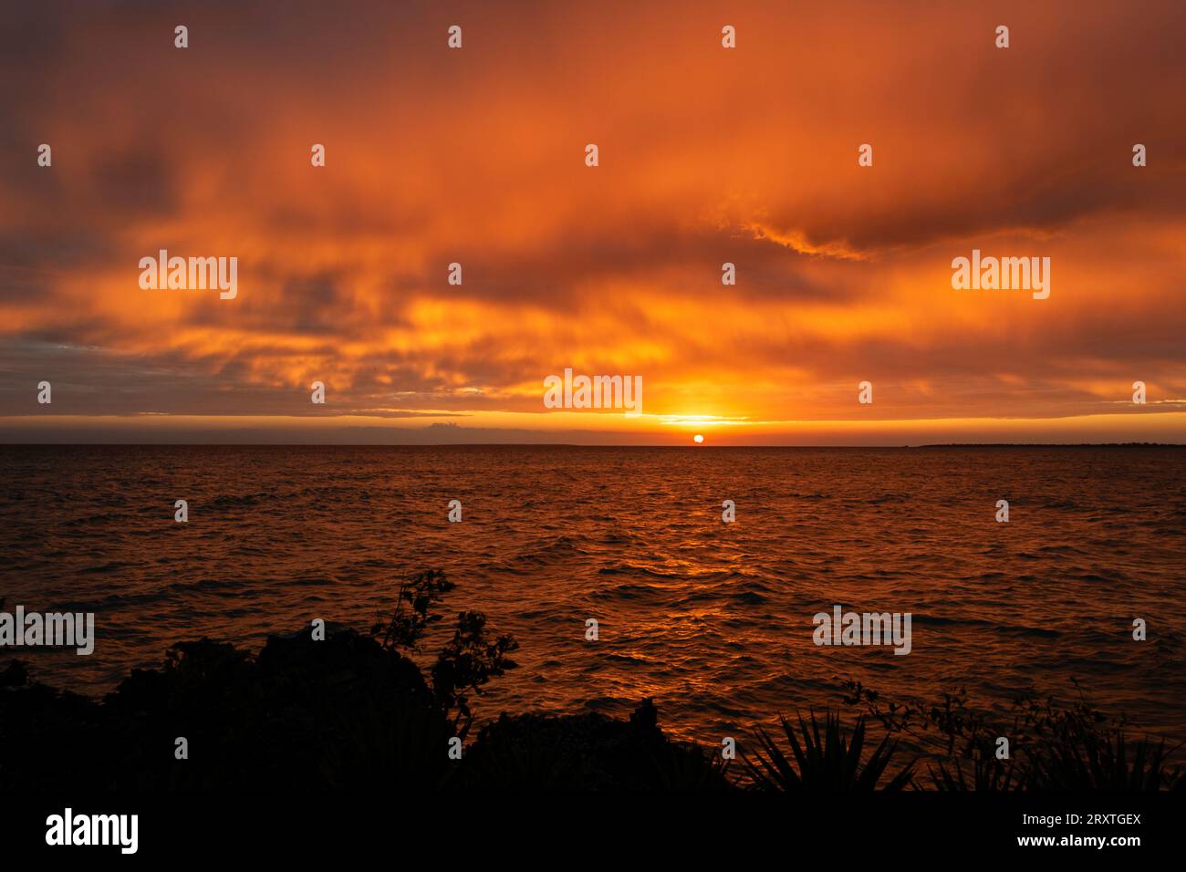 Splendido tramonto sull'isola di Zanzibar, Tanzania, Africa Foto Stock