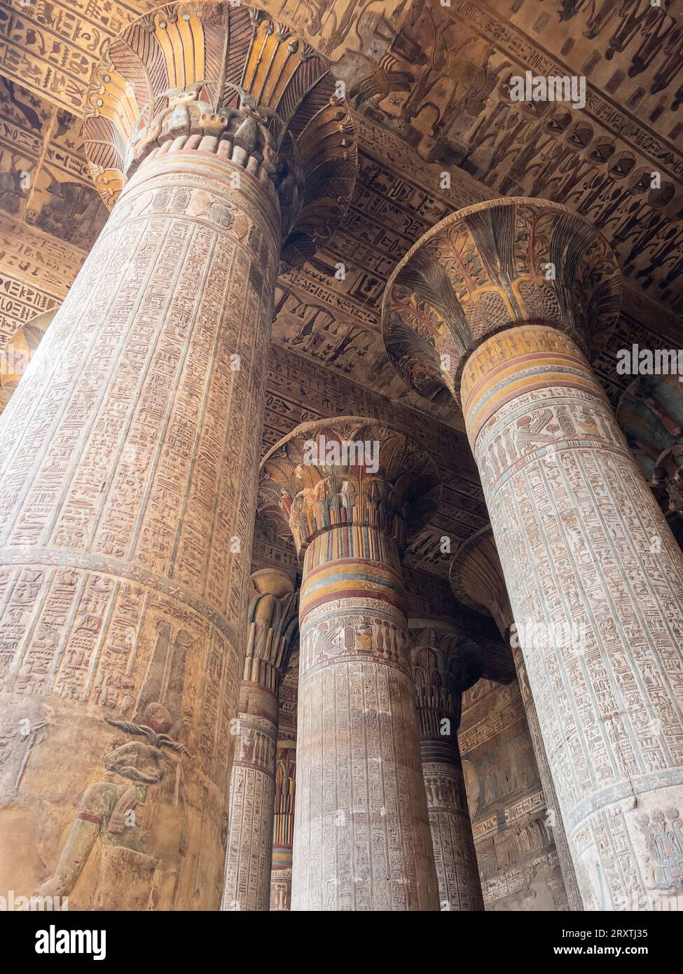 Colonne nel Tempio di Hathor, che iniziò la costruzione nel 54 a.C., parte del complesso del Tempio di Dendera, Dendera, Egitto, Nord Africa, Africa Foto Stock