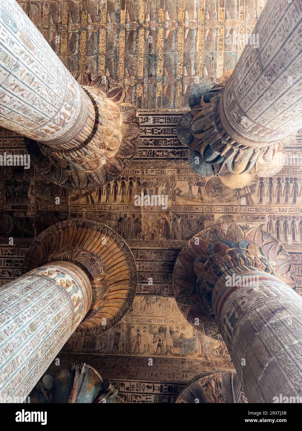 Colonne nel Tempio di Hathor, che ha iniziato la costruzione nel 54 a.C., parte del complesso del Tempio di Dendera, Dendera, Egitto, Nord Africa, Africa Foto Stock