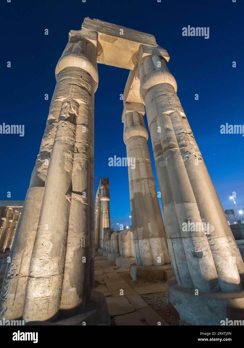 Il Tempio di Luxor di notte, un grande complesso di templi egizi costruito intorno al 1400 a.C., patrimonio dell'umanità dell'UNESCO, Luxor, Tebe Foto Stock