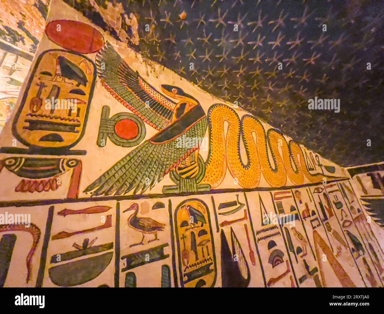 Rilievi e dipinti nella tomba di Nefertari, la grande moglie del