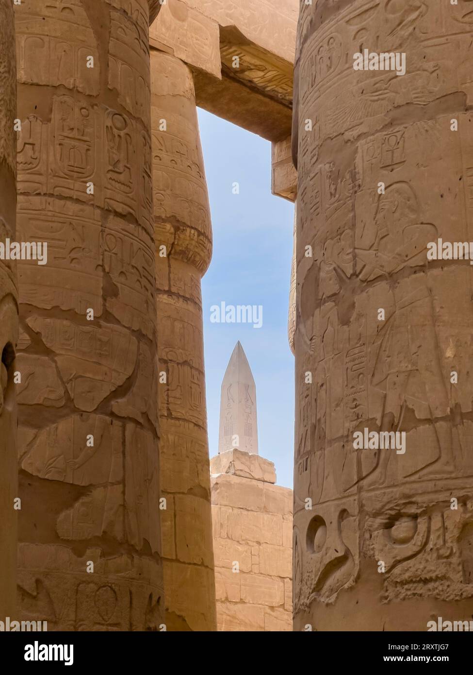 L'obelisco di Hatshepsut, complesso del tempio di Karnak, comprende un vasto mix di templi, piloni e cappelle, patrimonio dell'umanità dell'UNESCO, vicino a Luxor, Tebe Foto Stock