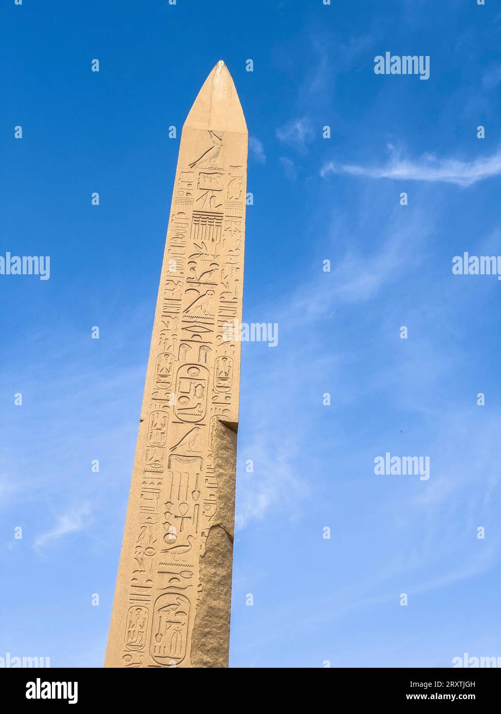Obelisco di Thutmosis i, complesso del tempio di Karnak, un vasto mix di templi, piloni e cappelle, sito patrimonio dell'umanità dell'UNESCO, vicino a Luxor, Tebe Foto Stock